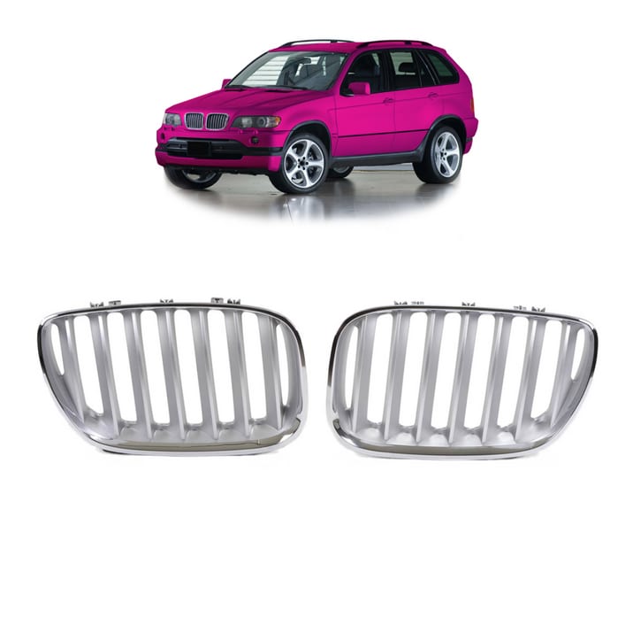 Grill BMW X5 E53 Facelift pojedyncze żeberka Chrome & Matt Silver