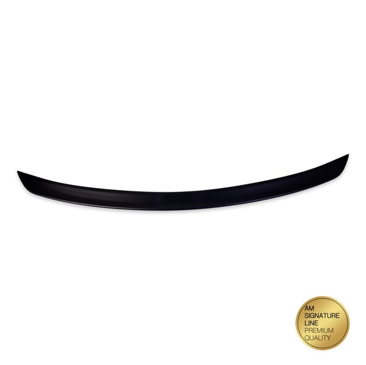 Lotka Mercedes-Benz SLK R171 Lip Matt Black